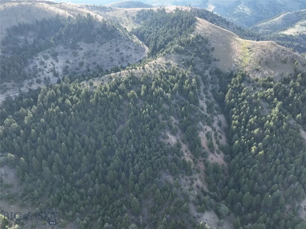 Tbd Lone Wolf Trail Clarkston MT 59752