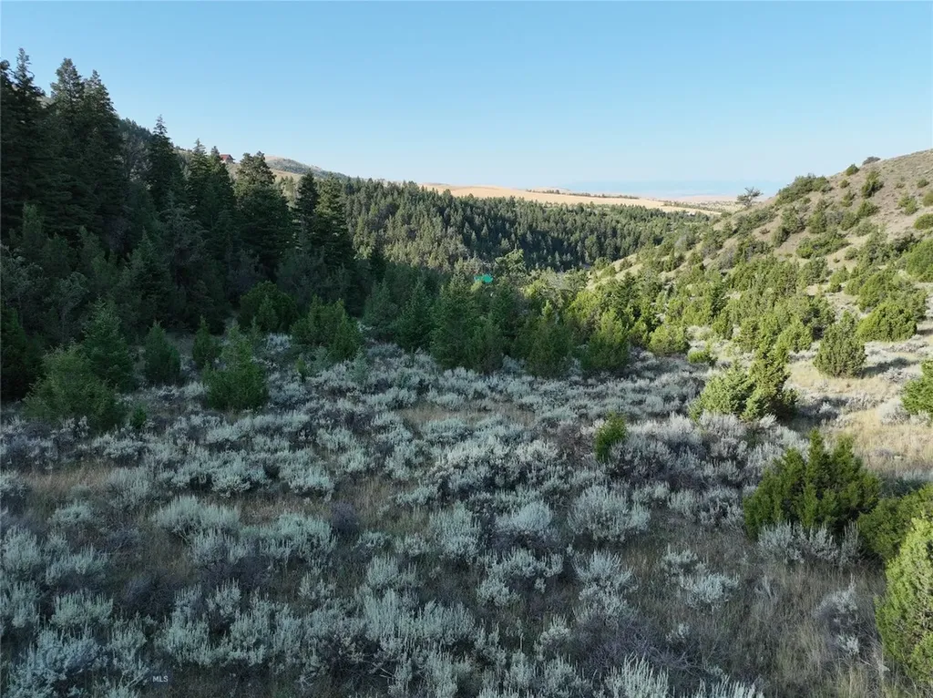 Tbd Lone Wolf Trail Clarkston MT 59752