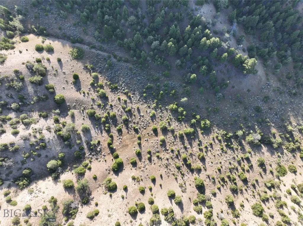 Tbd Lone Wolf Trail Clarkston MT 59752