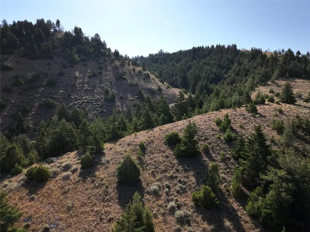 Tbd Lone Wolf Trail Clarkston MT 59752