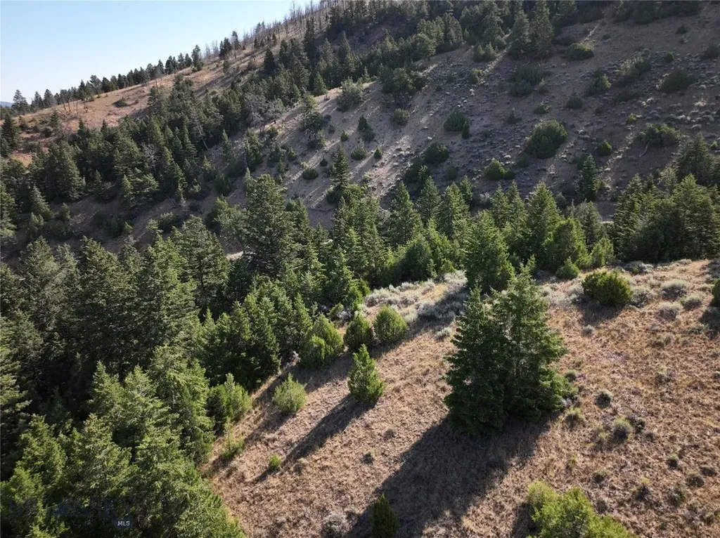 Tbd Lone Wolf Trail Clarkston MT 59752