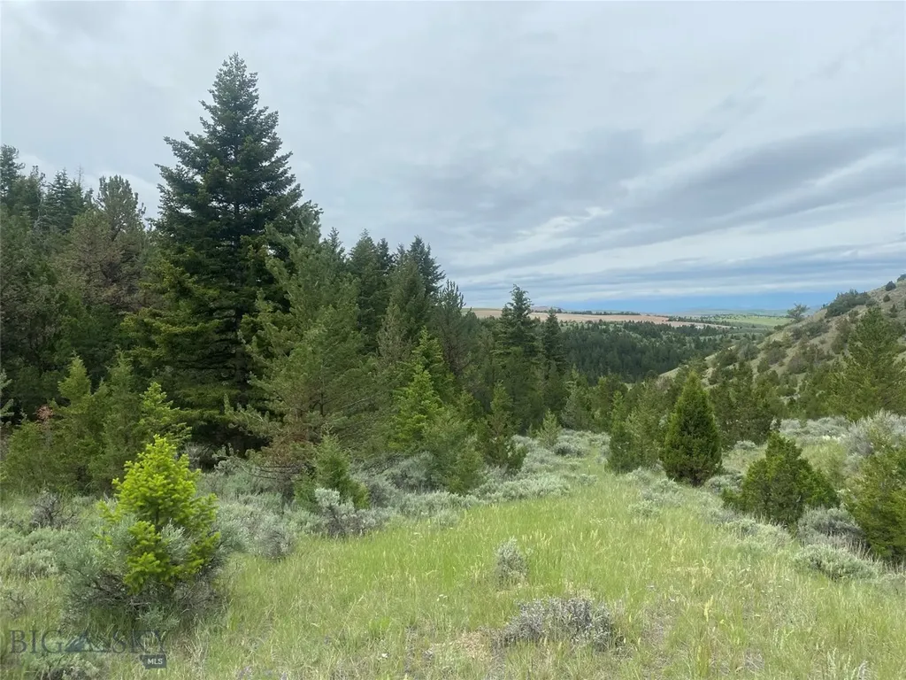 Tbd Lone Wolf Trail Clarkston MT 59752
