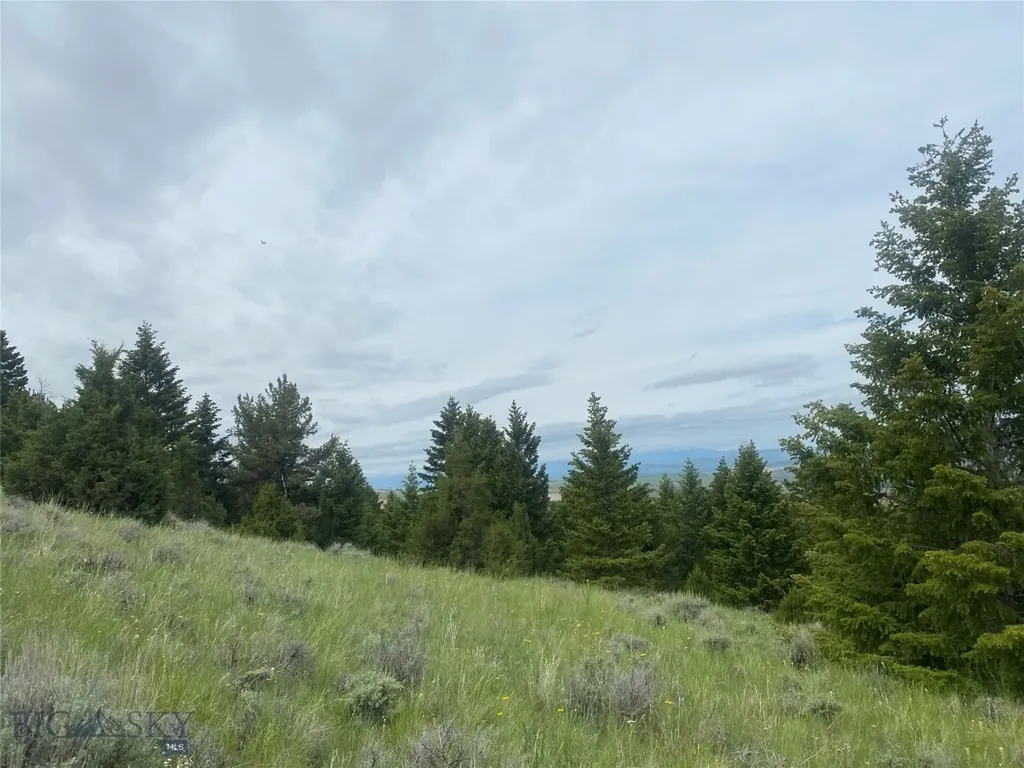 Tbd Lone Wolf Trail Clarkston MT 59752