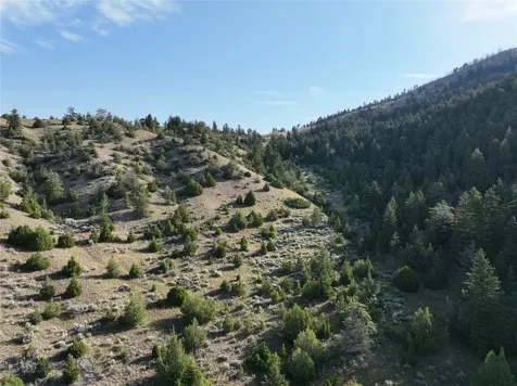 TBD Lone Wolf Trail Clarkston MT 59752