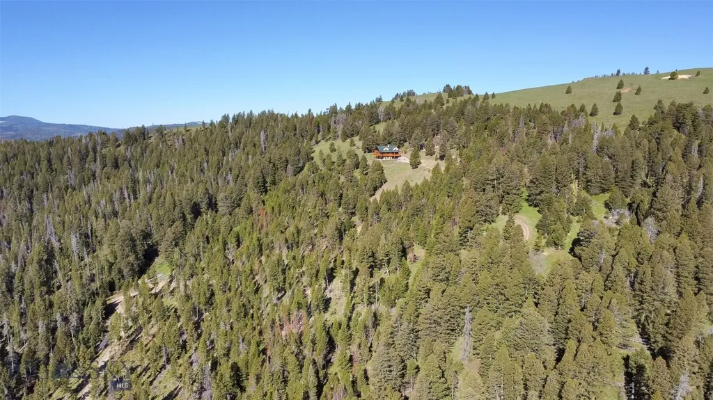 2988 Moose Gulch Elliston MT 59728