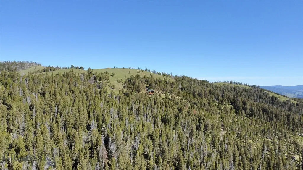 2988 Moose Gulch Elliston MT 59728