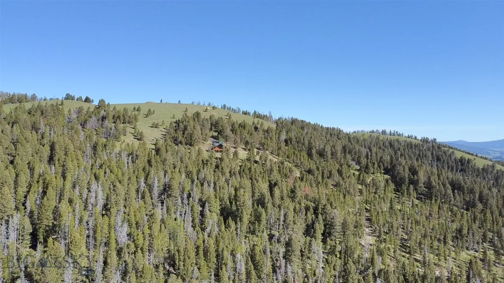 2988 Moose Gulch Elliston MT 59728
