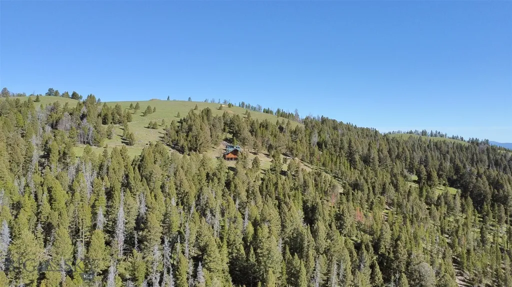 2988 Moose Gulch Elliston MT 59728