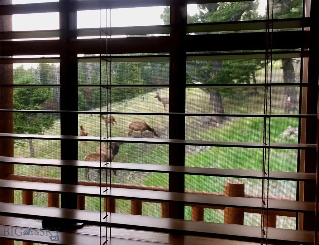 2988 Moose Gulch Elliston MT 59728