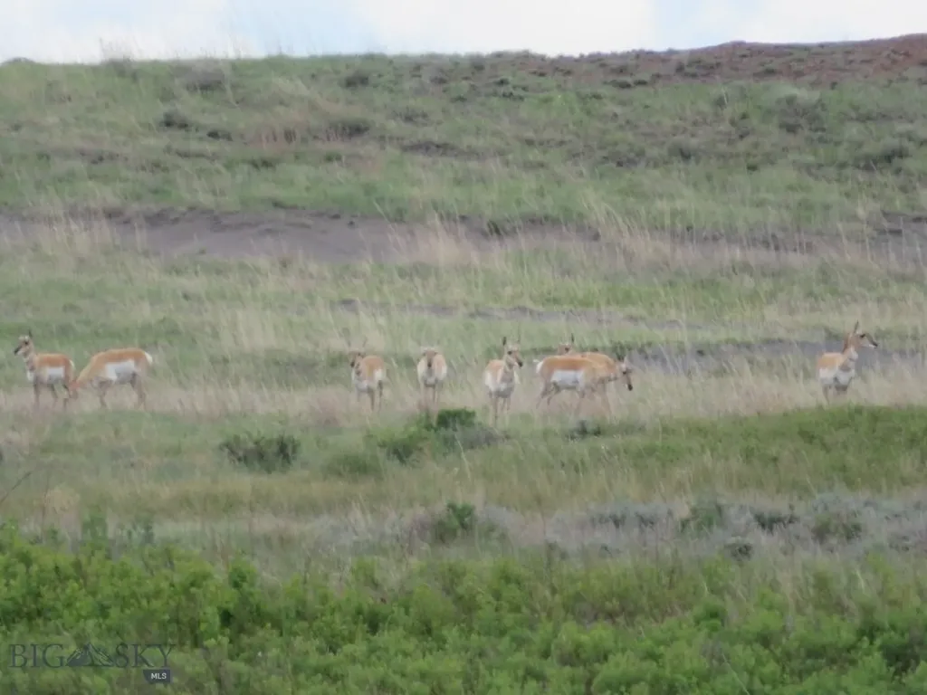 Tbd Elk Creek Road Winnett MT 59087