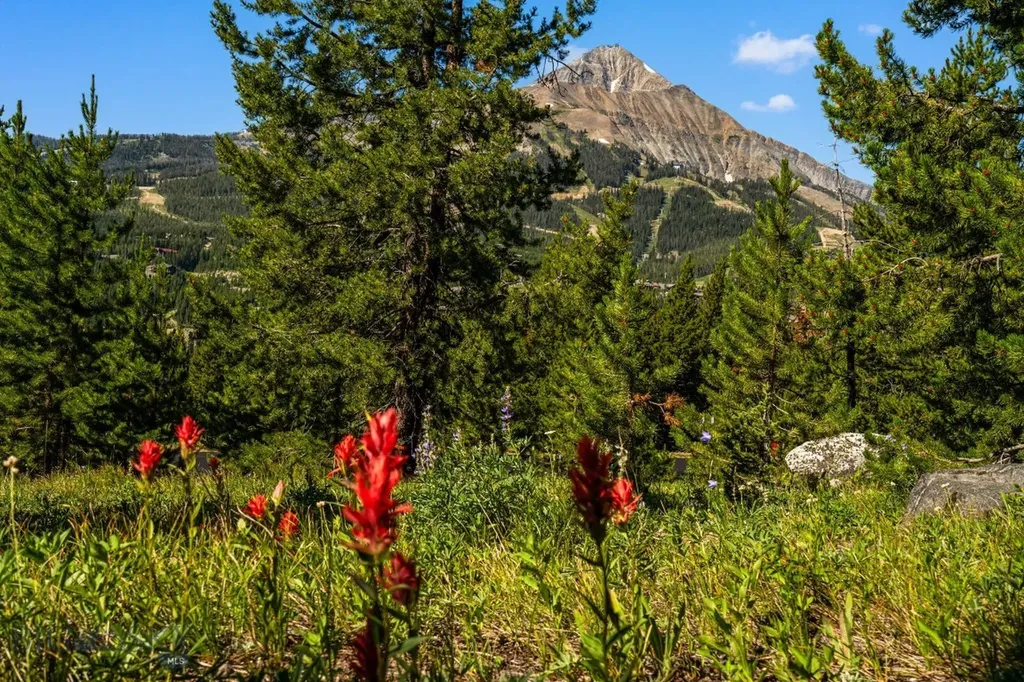 Tbd Beehive Basin Lot 132a-1 Road Big Sky MT 59716