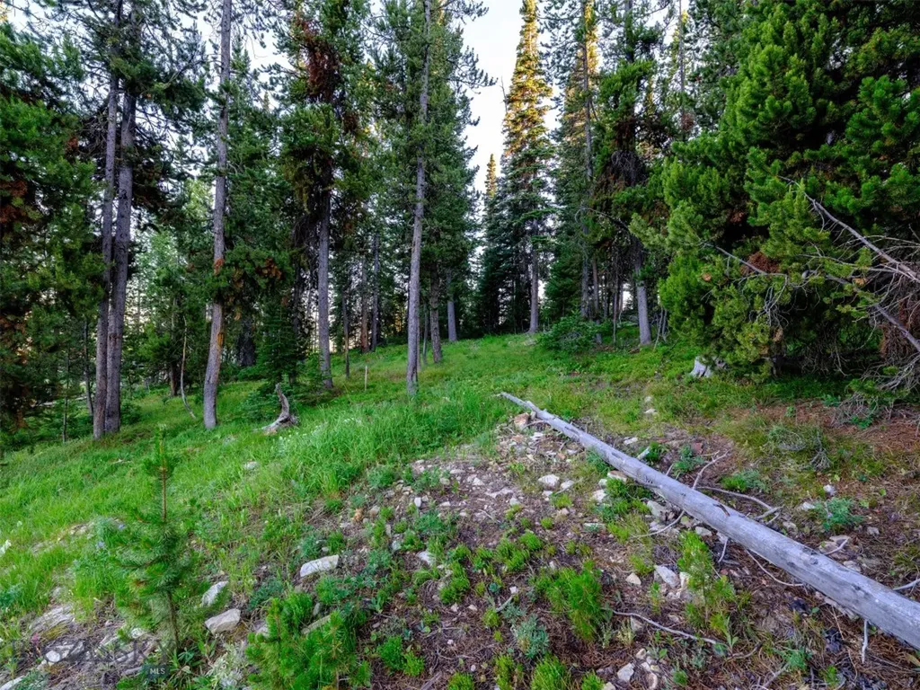 Lot 59 Goshawk Road Big Sky MT 59716
