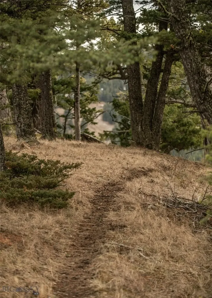 Lot 20 Charles Russell Loop Big Sky MT 59716
