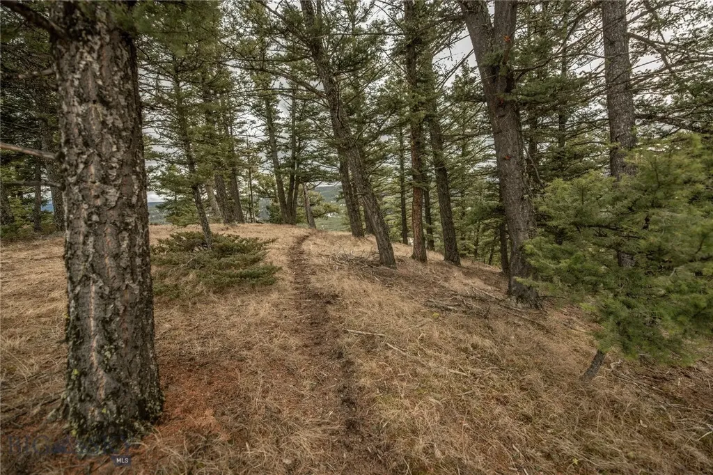 Lot 20 Charles Russell Loop Big Sky MT 59716
