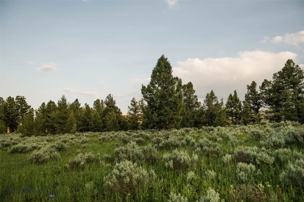 Lot 20 Charles Russell Loop Big Sky MT 59716