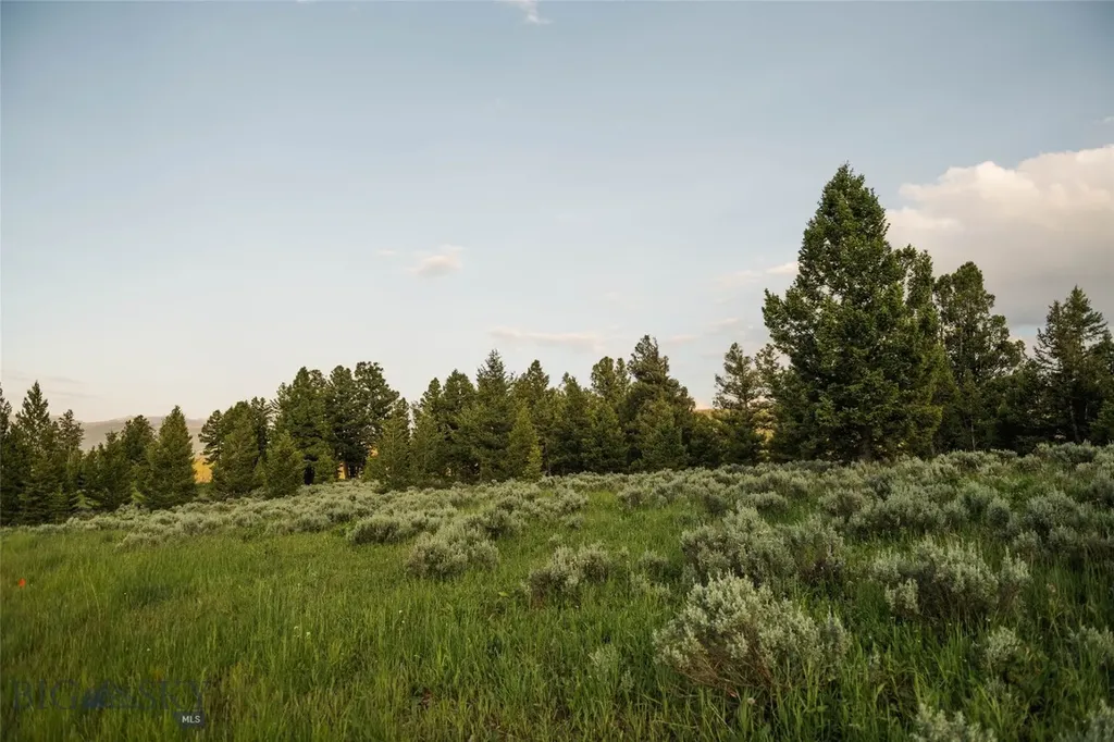 Lot 20 Charles Russell Loop Big Sky MT 59716