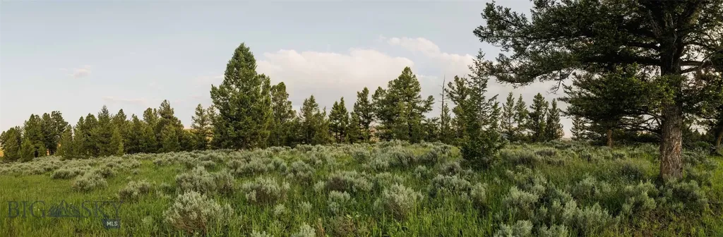 Lot 20 Charles Russell Loop Big Sky MT 59716