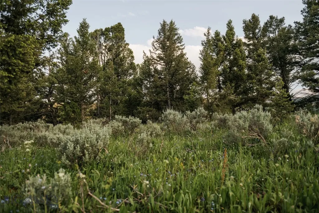 Lot 20 Charles Russell Loop Big Sky MT 59716