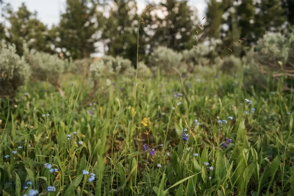 Lot 20 Charles Russell Loop Big Sky MT 59716