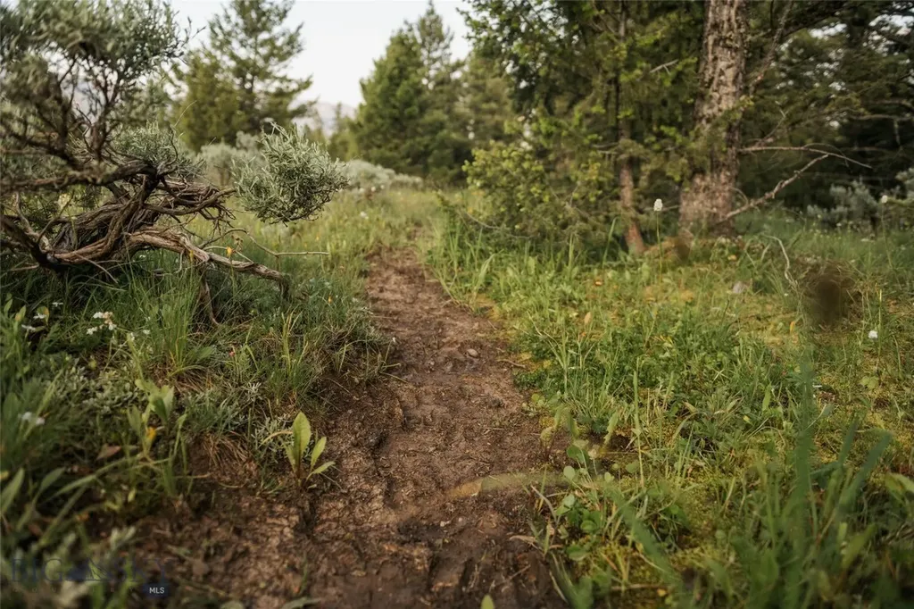 Lot 20 Charles Russell Loop Big Sky MT 59716