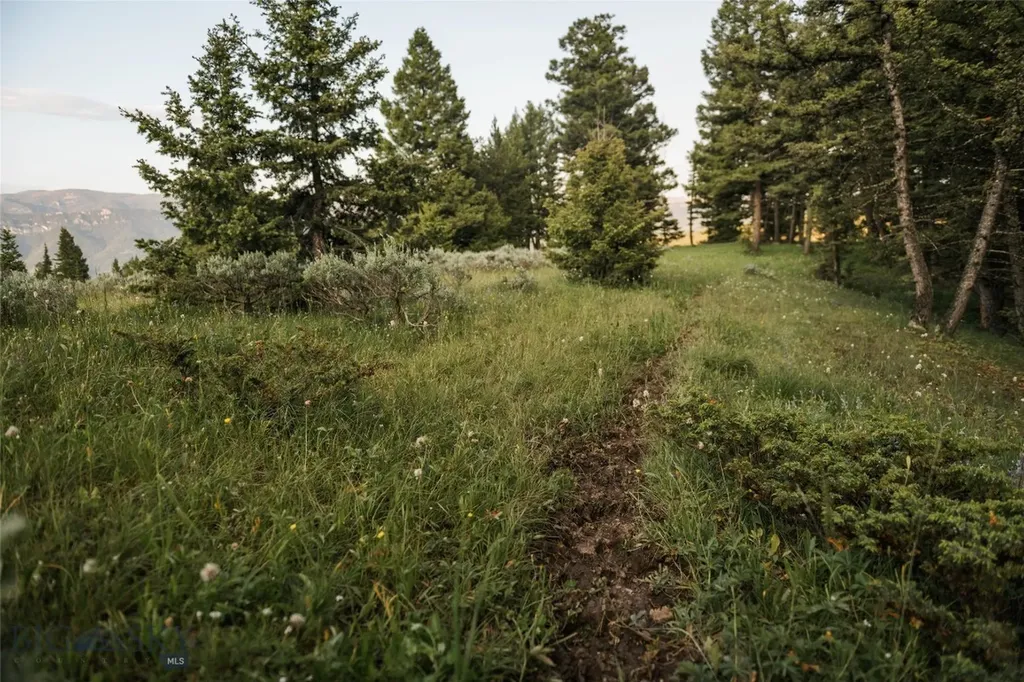 Lot 20 Charles Russell Loop Big Sky MT 59716