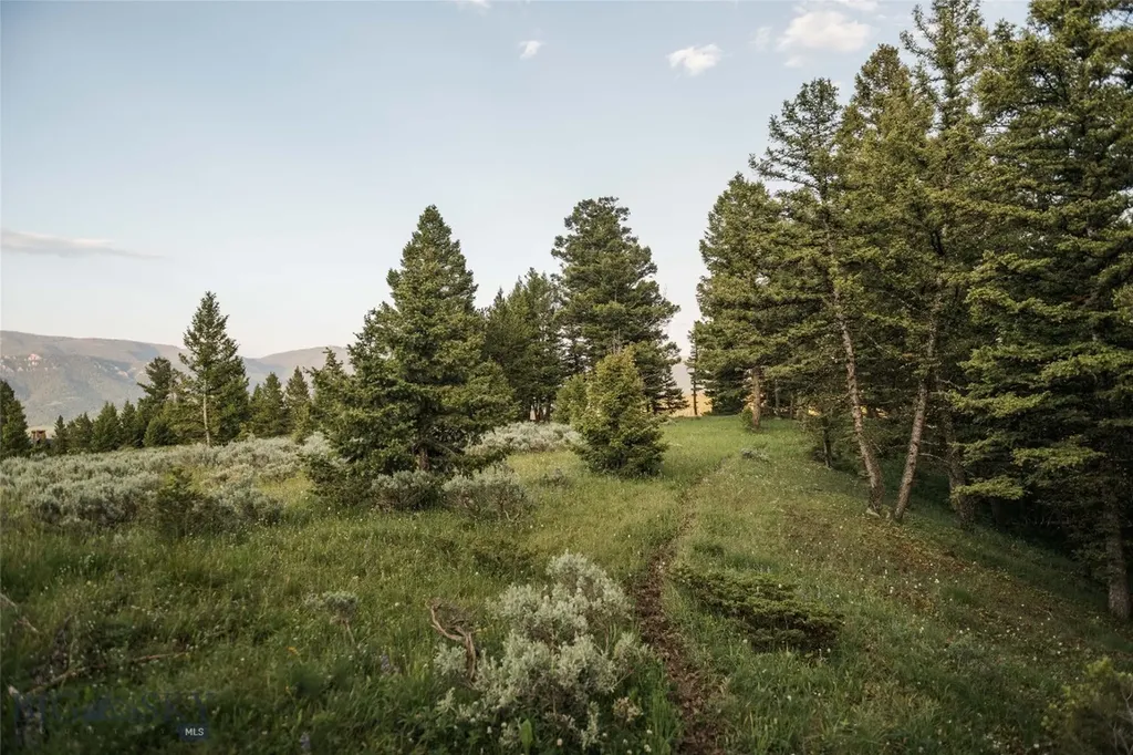 Lot 20 Charles Russell Loop Big Sky MT 59716
