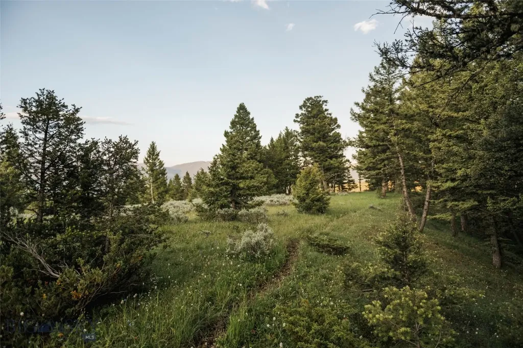 Lot 20 Charles Russell Loop Big Sky MT 59716