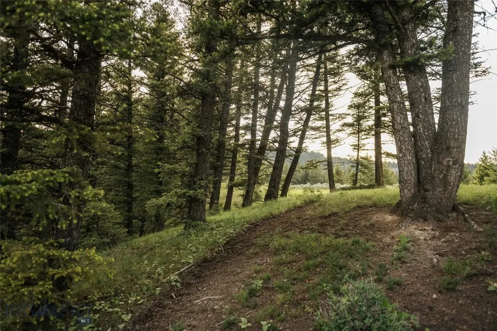 Lot 20 Charles Russell Loop Big Sky MT 59716