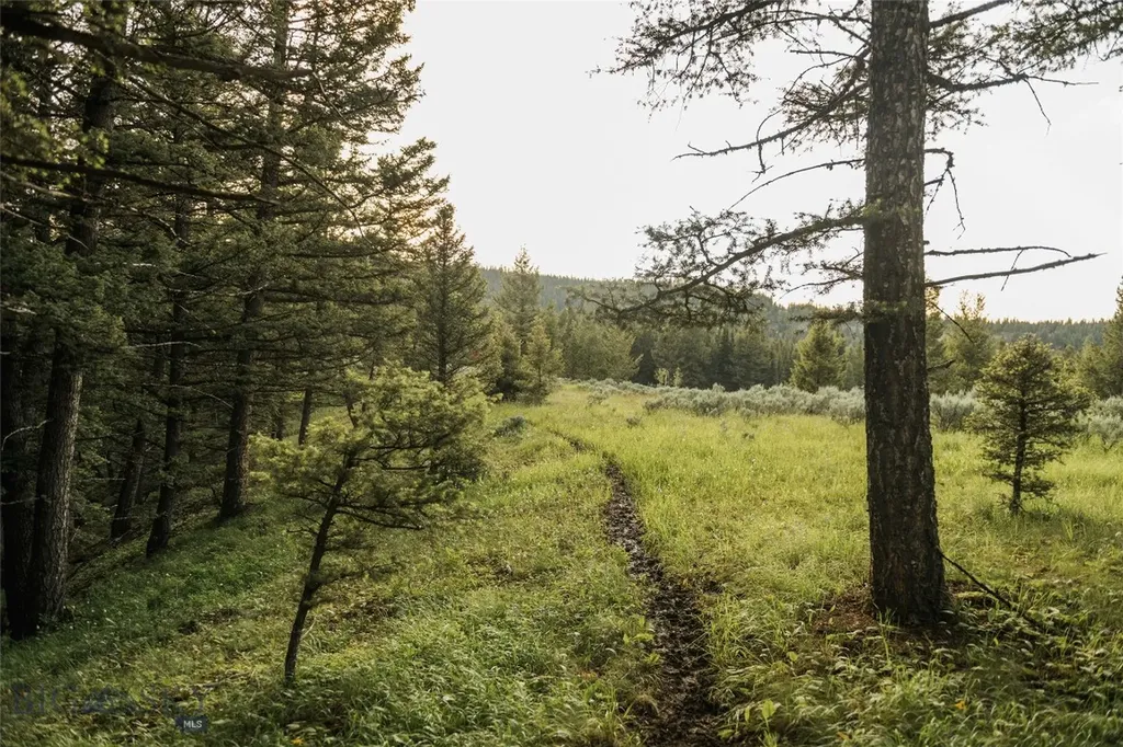 Lot 20 Charles Russell Loop Big Sky MT 59716