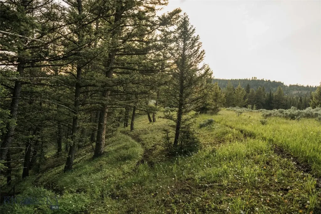 Lot 20 Charles Russell Loop Big Sky MT 59716