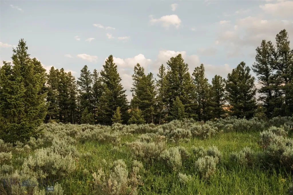Lot 20 Charles Russell Loop Big Sky MT 59716