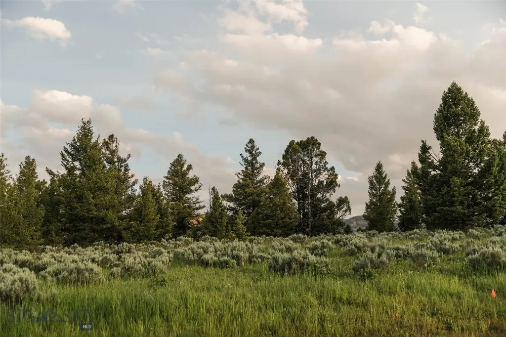 Lot 20 Charles Russell Loop Big Sky MT 59716