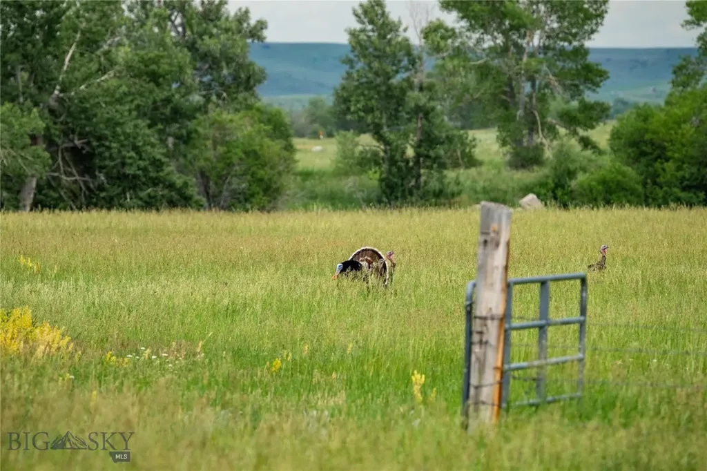 287 Spring Creek Road Absarokee MT 59001