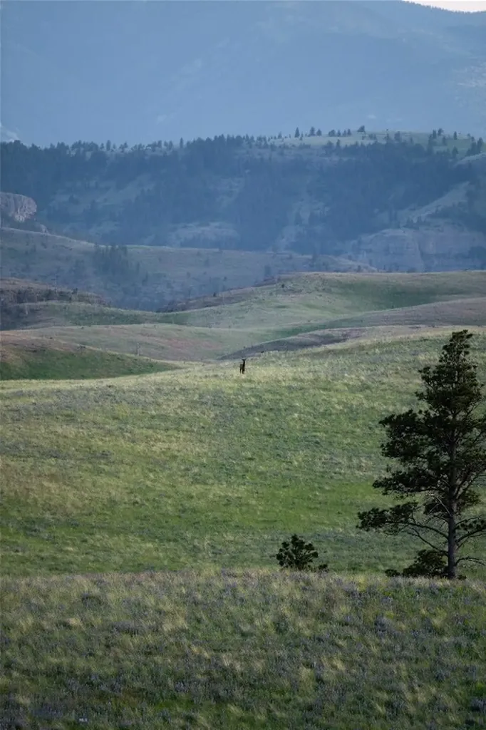 287 Spring Creek Road Absarokee MT 59001