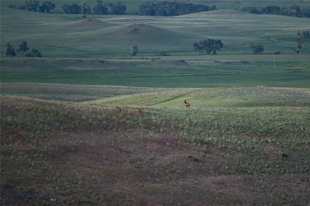 287 Spring Creek Road Absarokee MT 59001