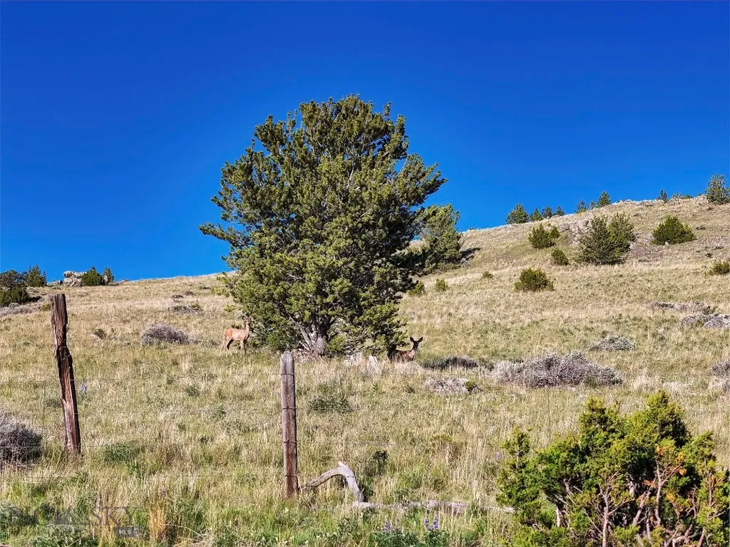 Lost Heart Ranch 234 N Ennis Lake Road Mcallister MT 59740