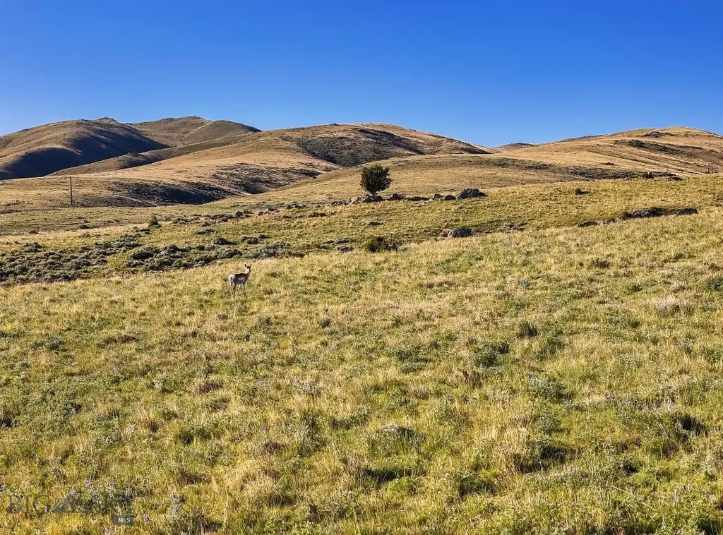 Lost Heart Ranch 234 N Ennis Lake Road Mcallister MT 59740