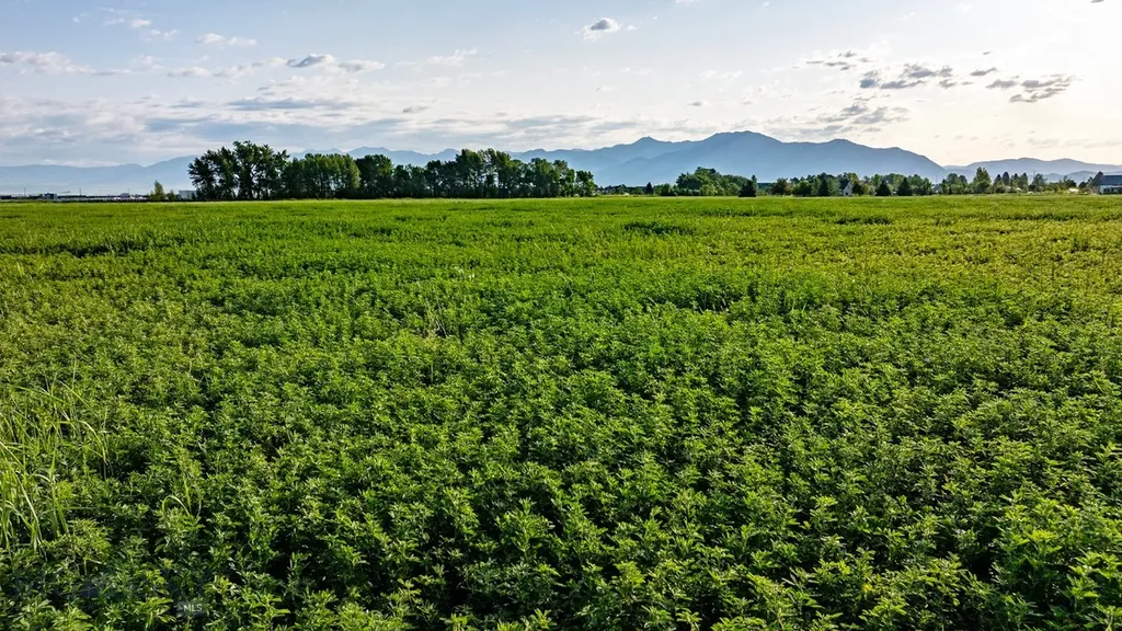 3849 Staffanson Road Bozeman MT 59718