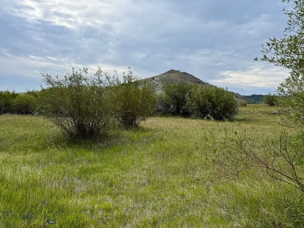 Nhn Lot 44 Mill Creek Highway Anaconda MT 59711