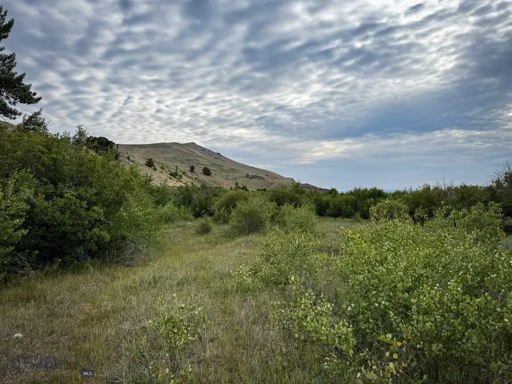 Nhn Lot 44 Mill Creek Highway Anaconda MT 59711