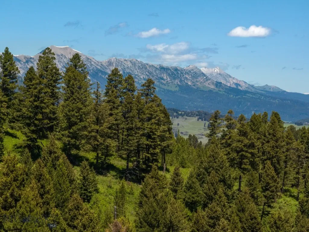 420 Colt Road Bozeman MT 59715