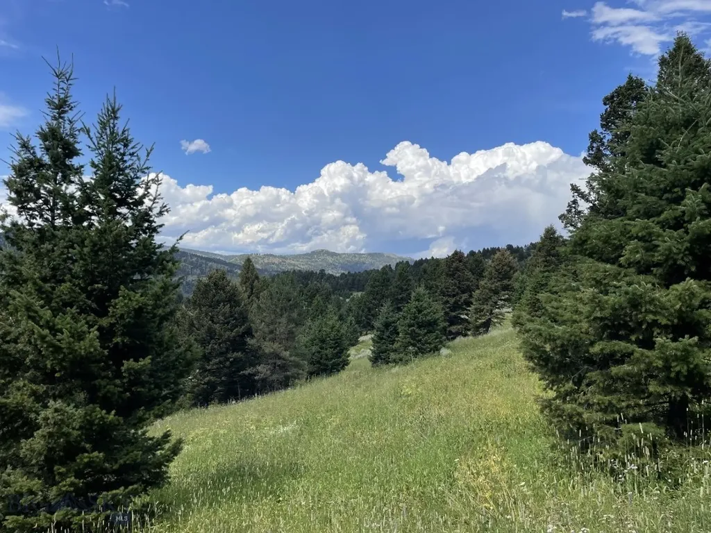 18 Blue Camas Road Bozeman MT 59715