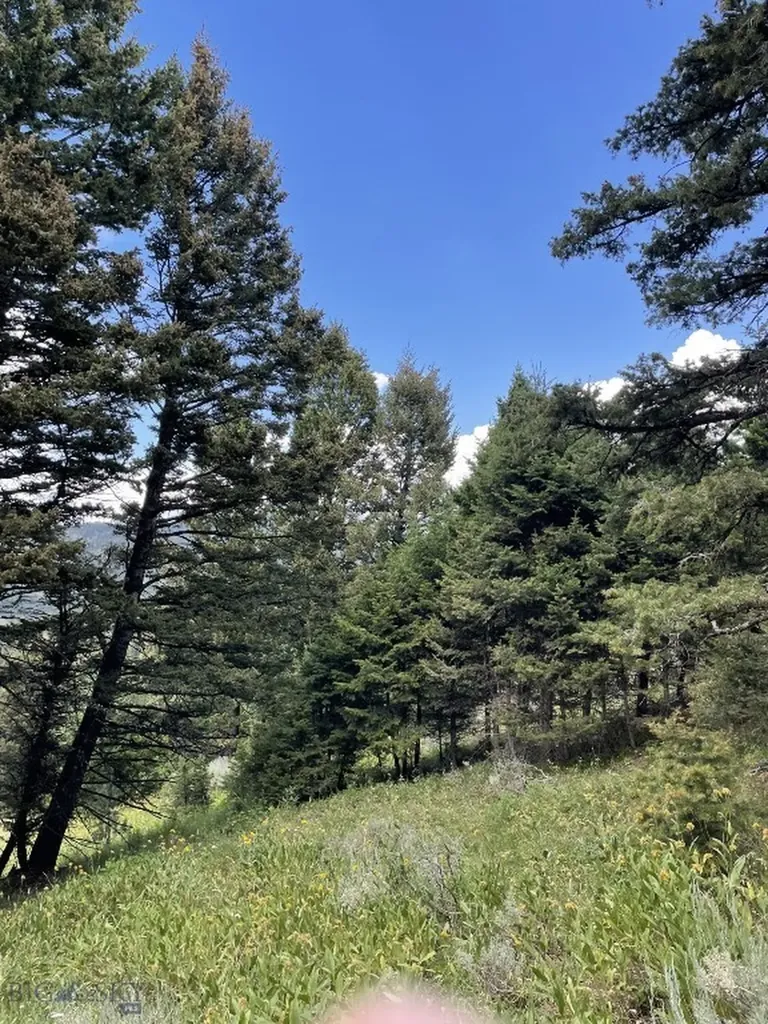 18 Blue Camas Road Bozeman MT 59715
