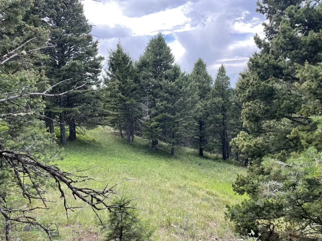 18 Blue Camas Road Bozeman MT 59715