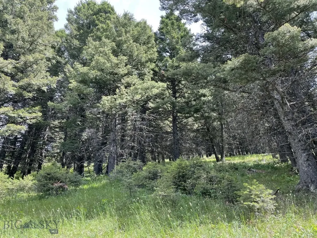 18 Blue Camas Road Bozeman MT 59715
