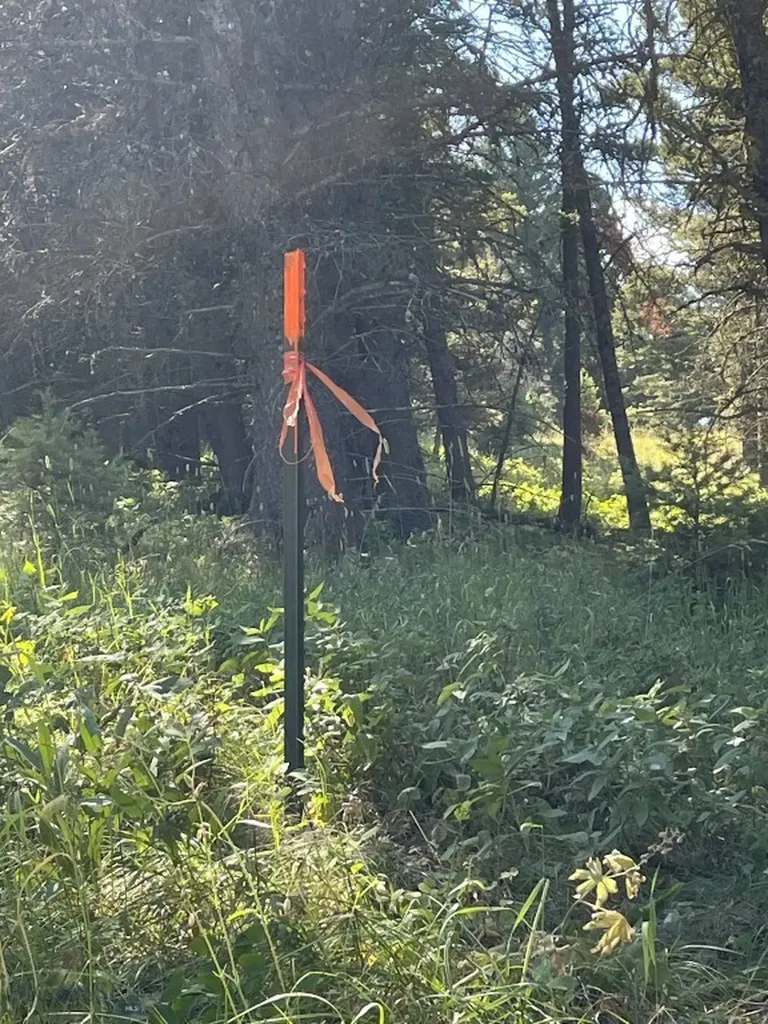 18 Blue Camas Road Bozeman MT 59715