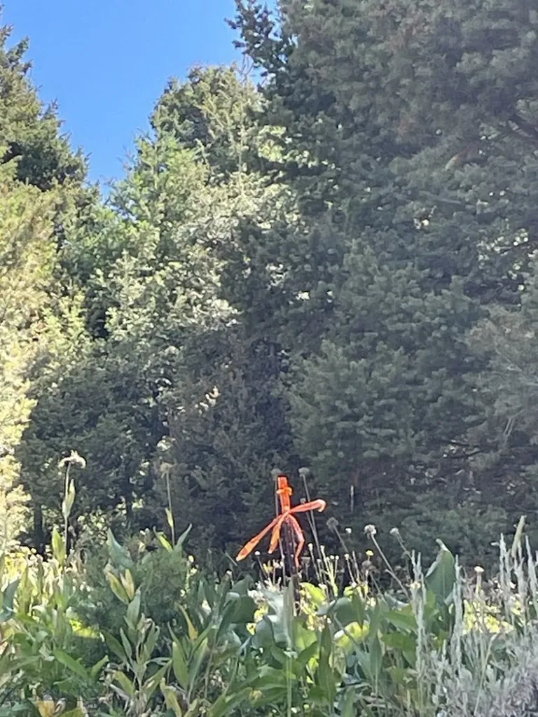 18 Blue Camas Road Bozeman MT 59715