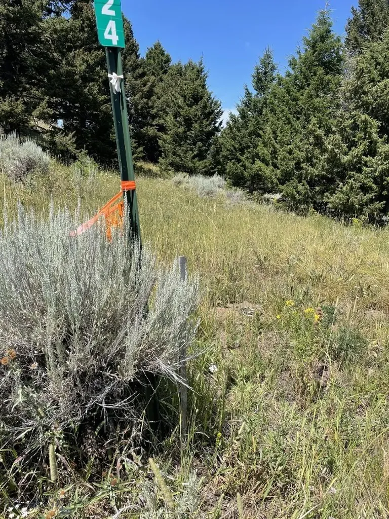 18 Blue Camas Road Bozeman MT 59715