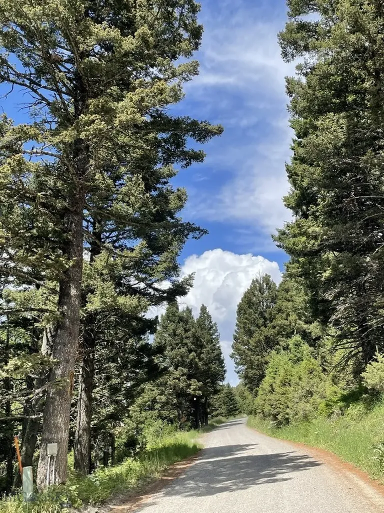 18 Blue Camas Road Bozeman MT 59715