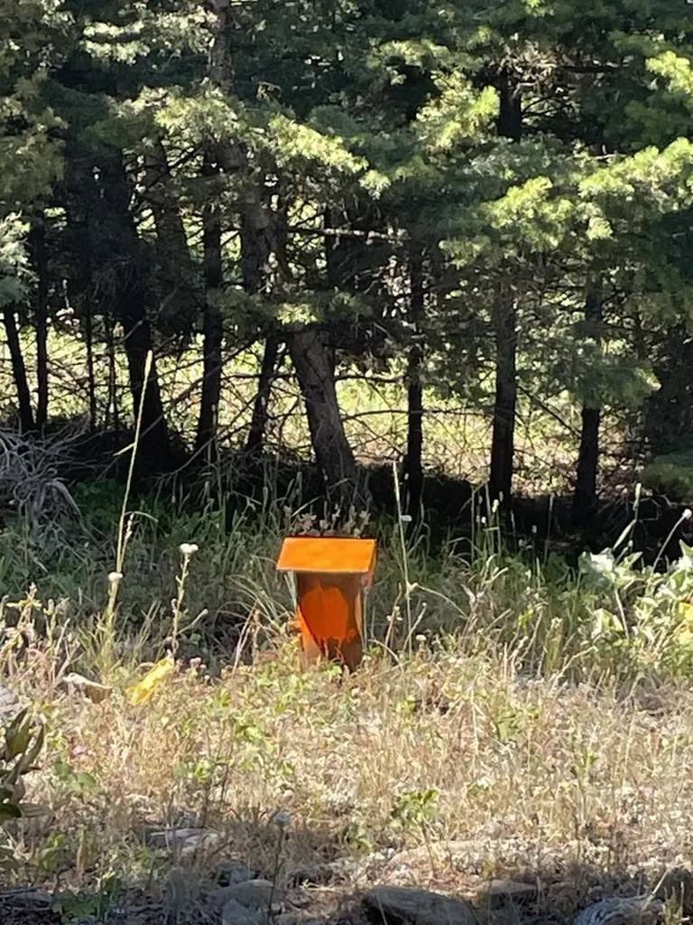 18 Blue Camas Road Bozeman MT 59715